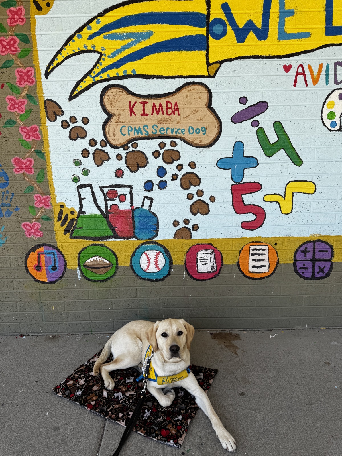 Kimba is famous!