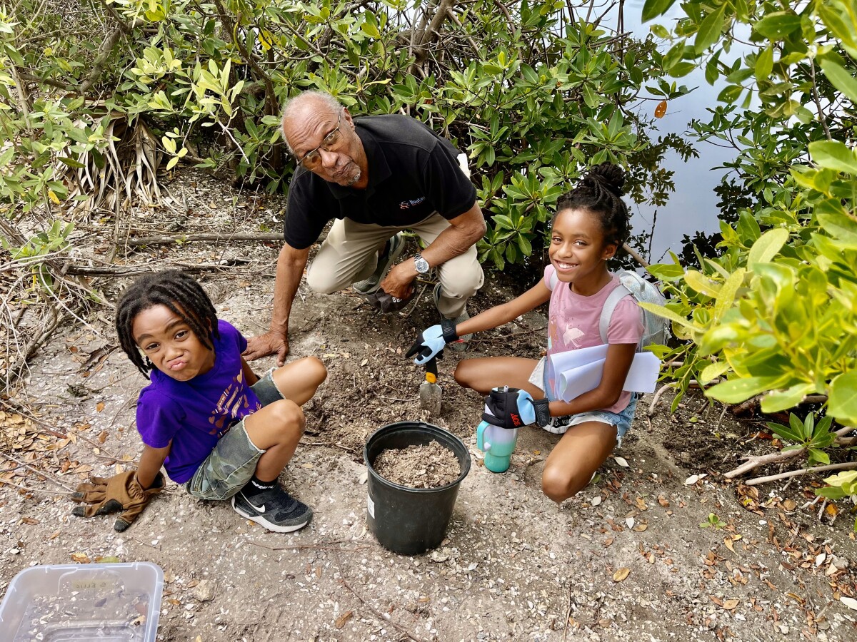 Soil collection