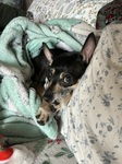 My dramatic side eye asks "Are you coming back to bed??"