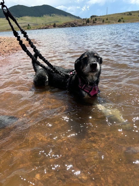 Oh honey, spa time in the lake is my kind of luxury—where the water’s as calm as my fabulous vibe and the pampering never ends!