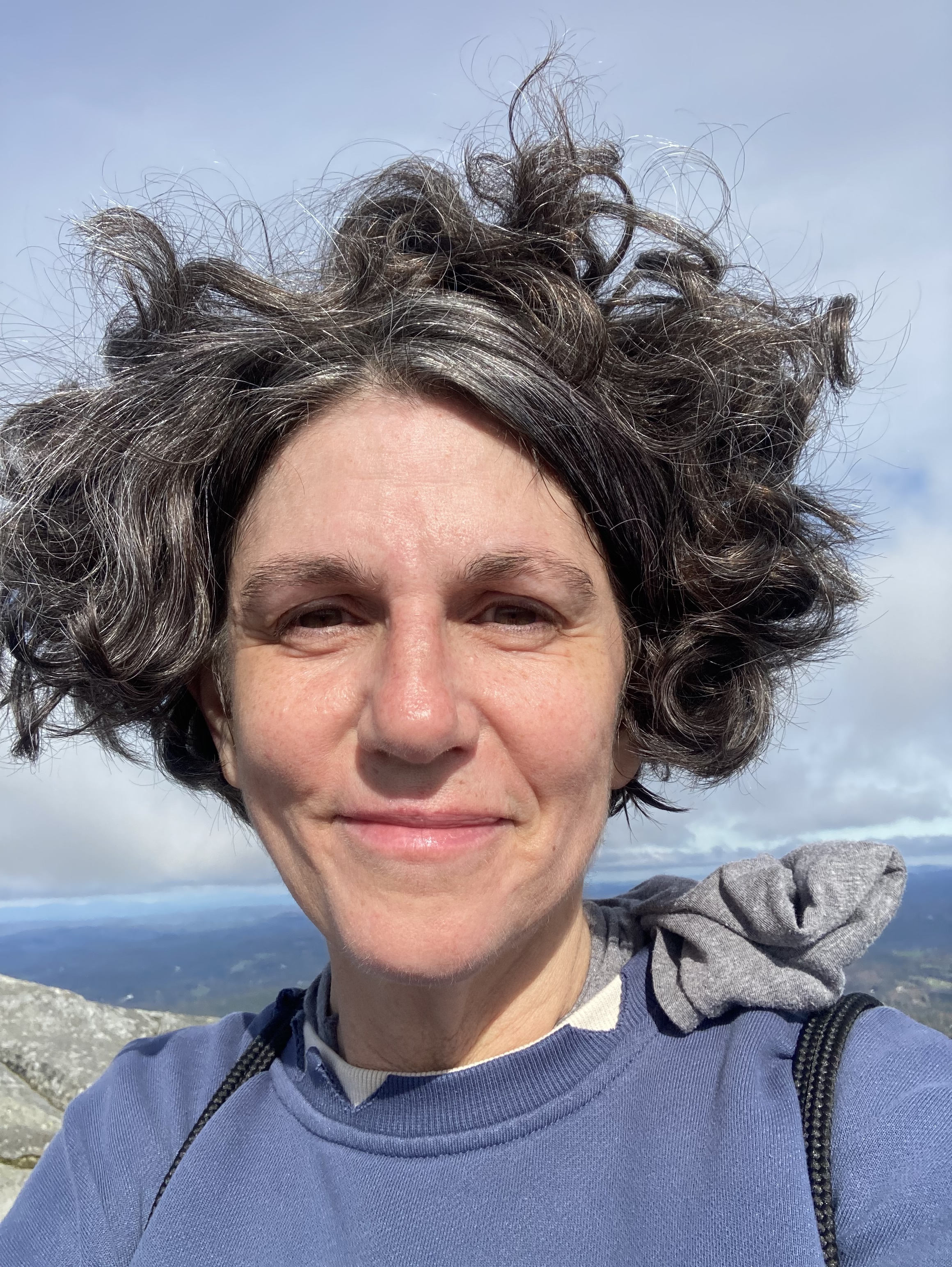 Made it to the summit of Monadnock!!