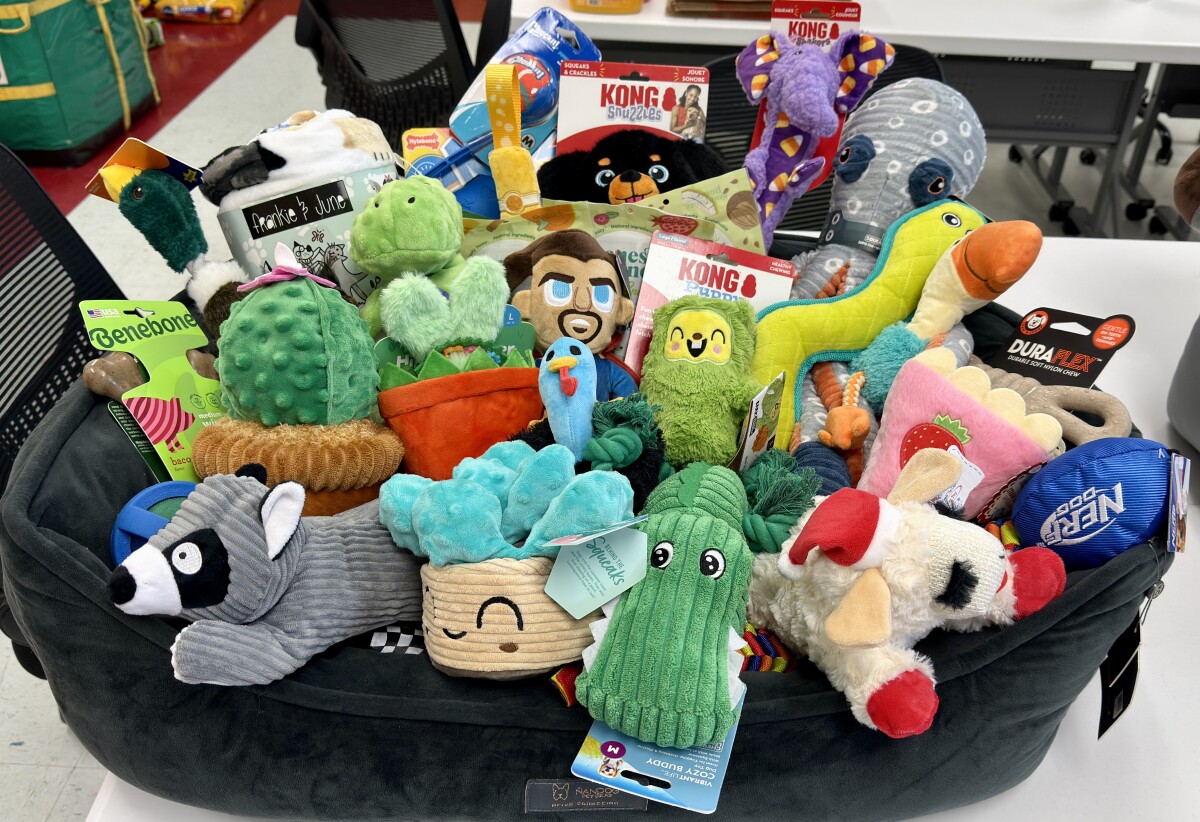Large Dog Bed & Toys