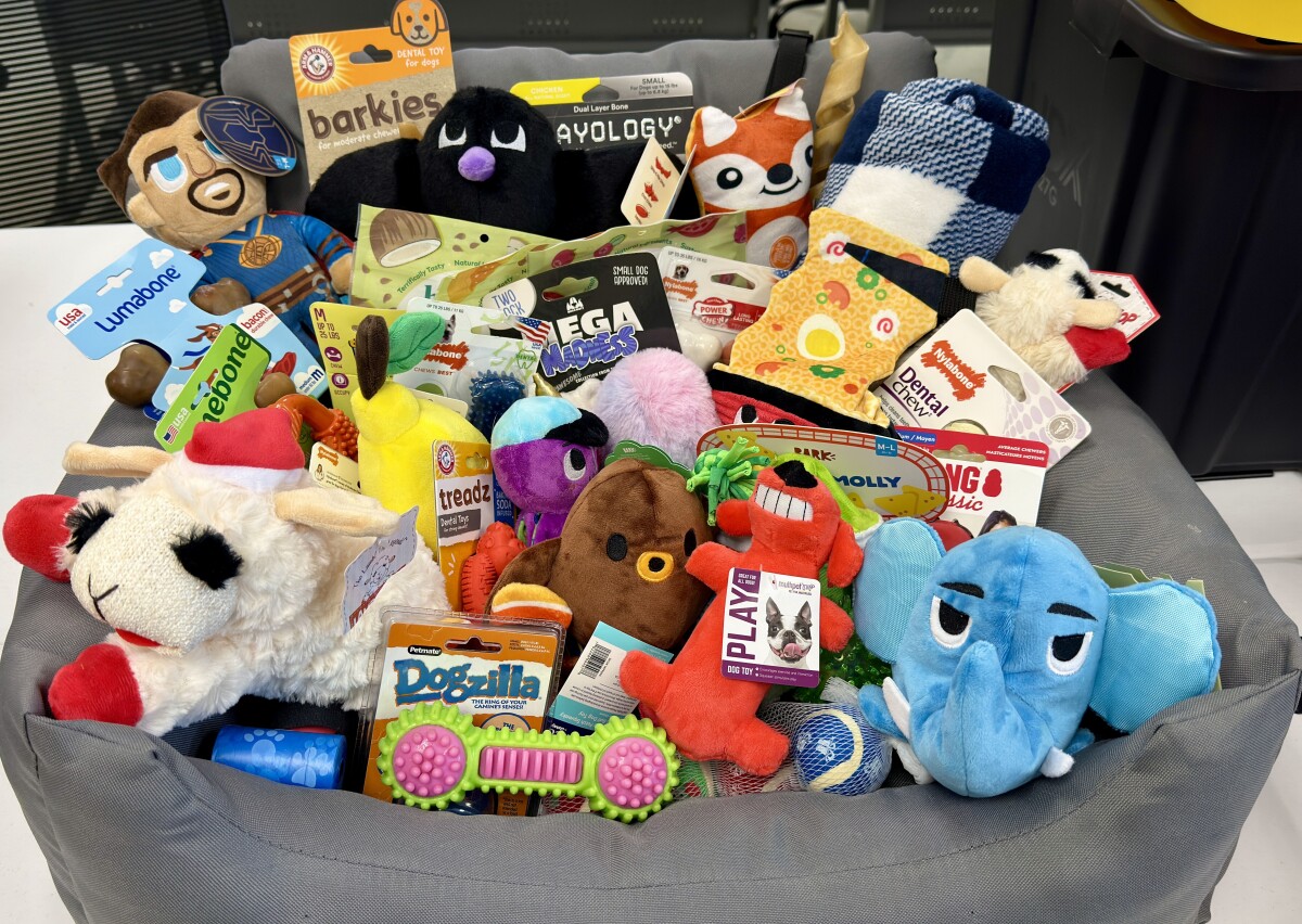 Small Dog Bed & Toys