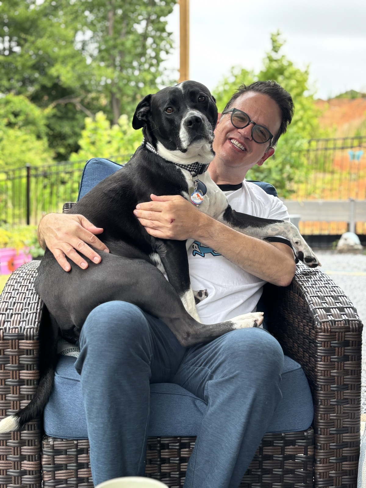 Lap Dog!