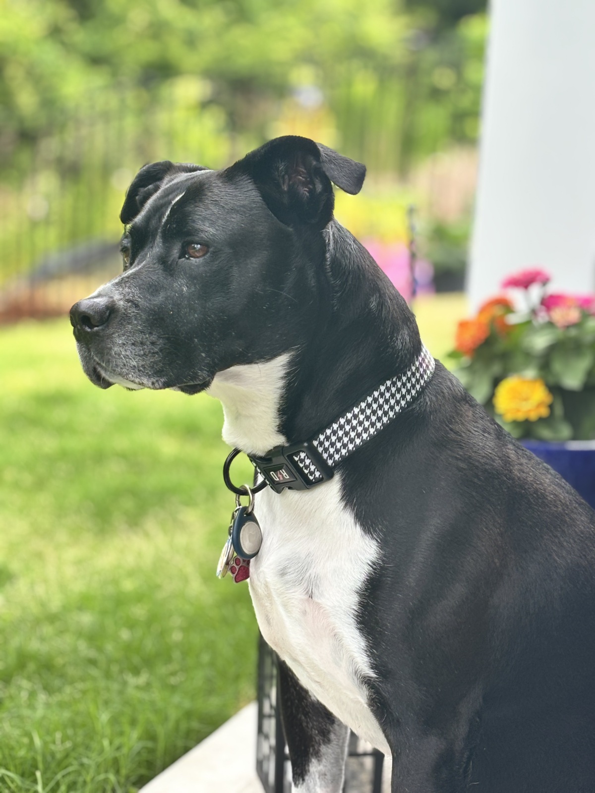 I’m a model!
