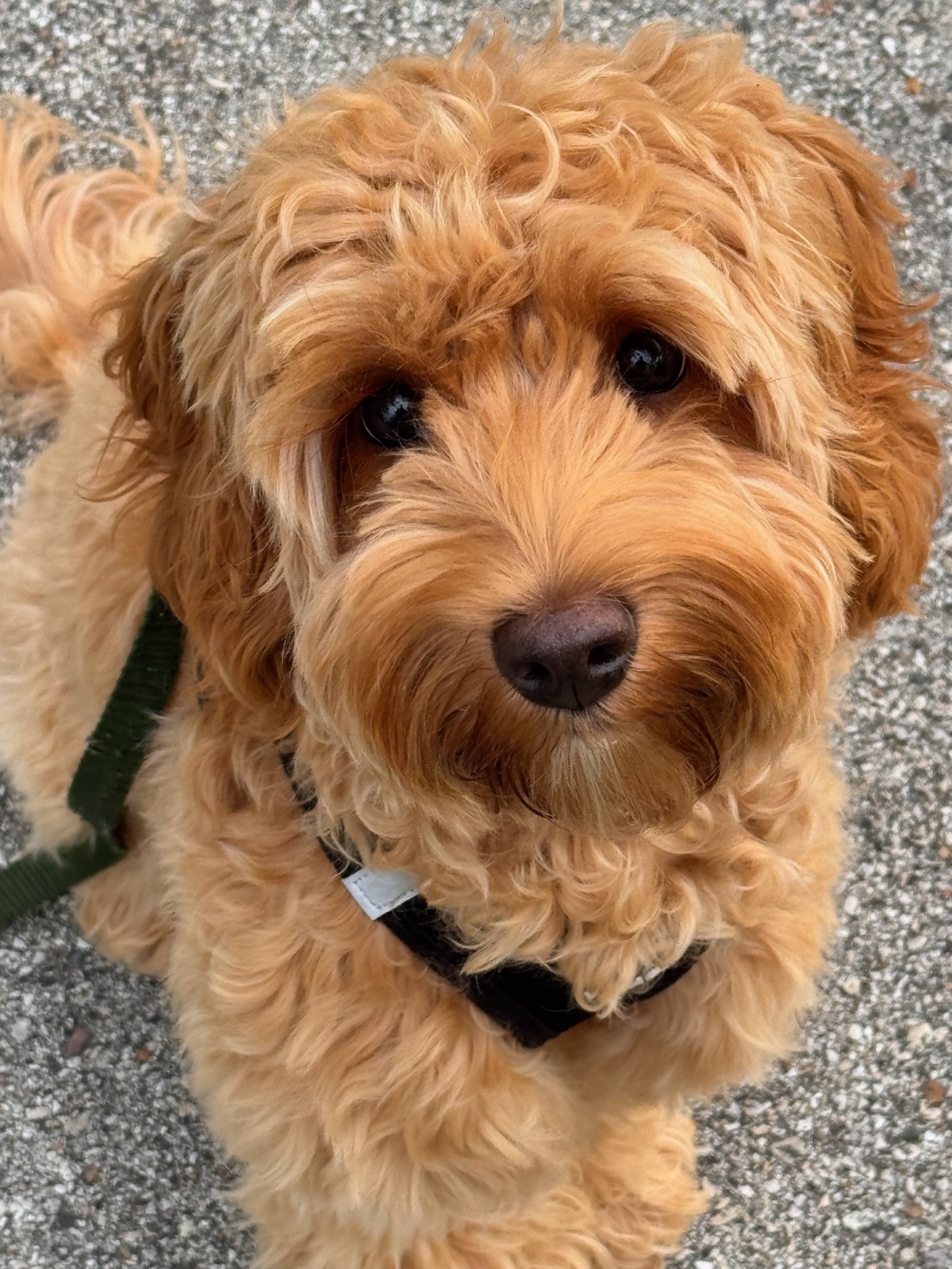 Close Up: Face to Face