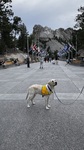Maurice visiting Mount Rushmore!
