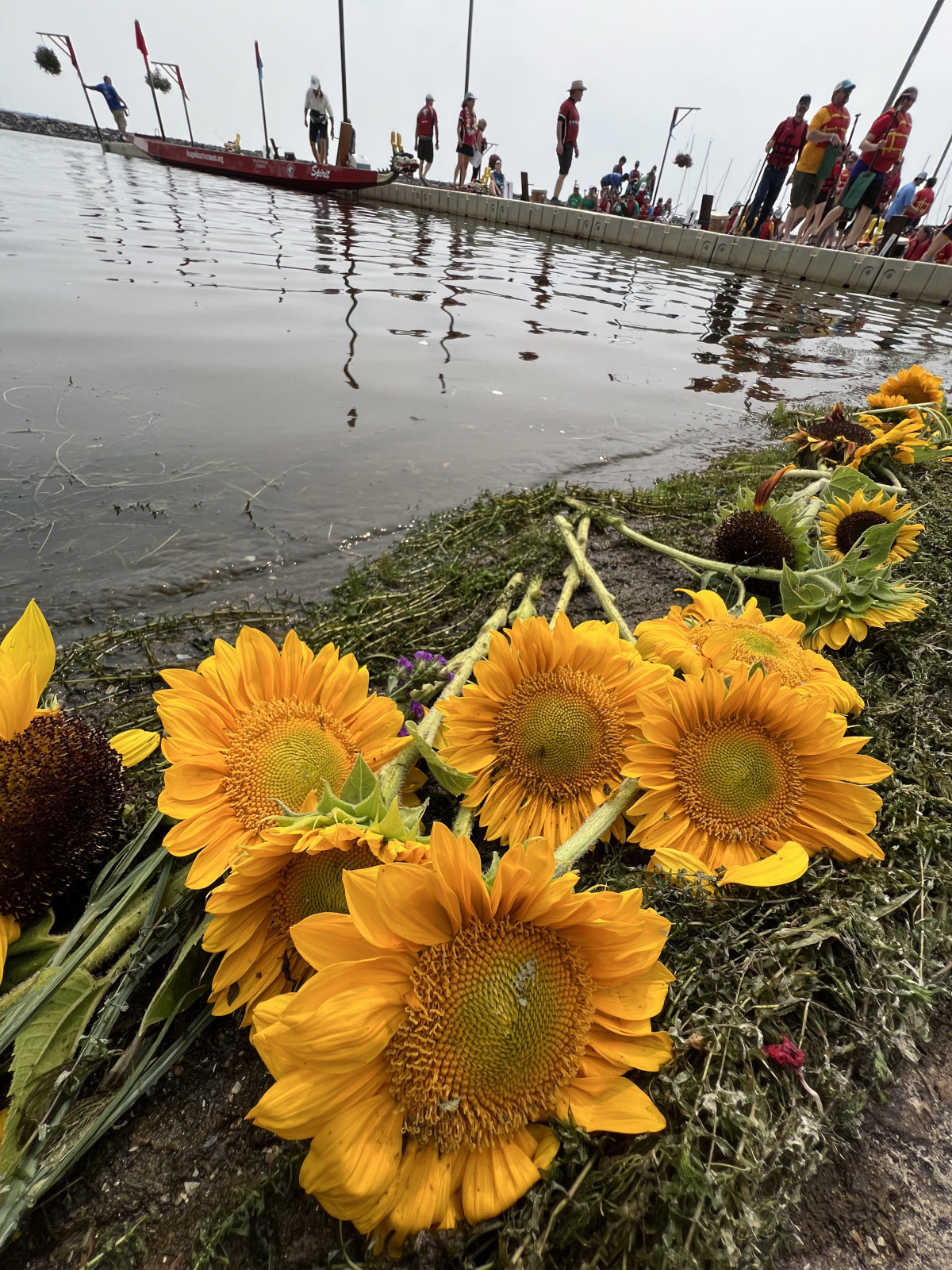 And the races continue