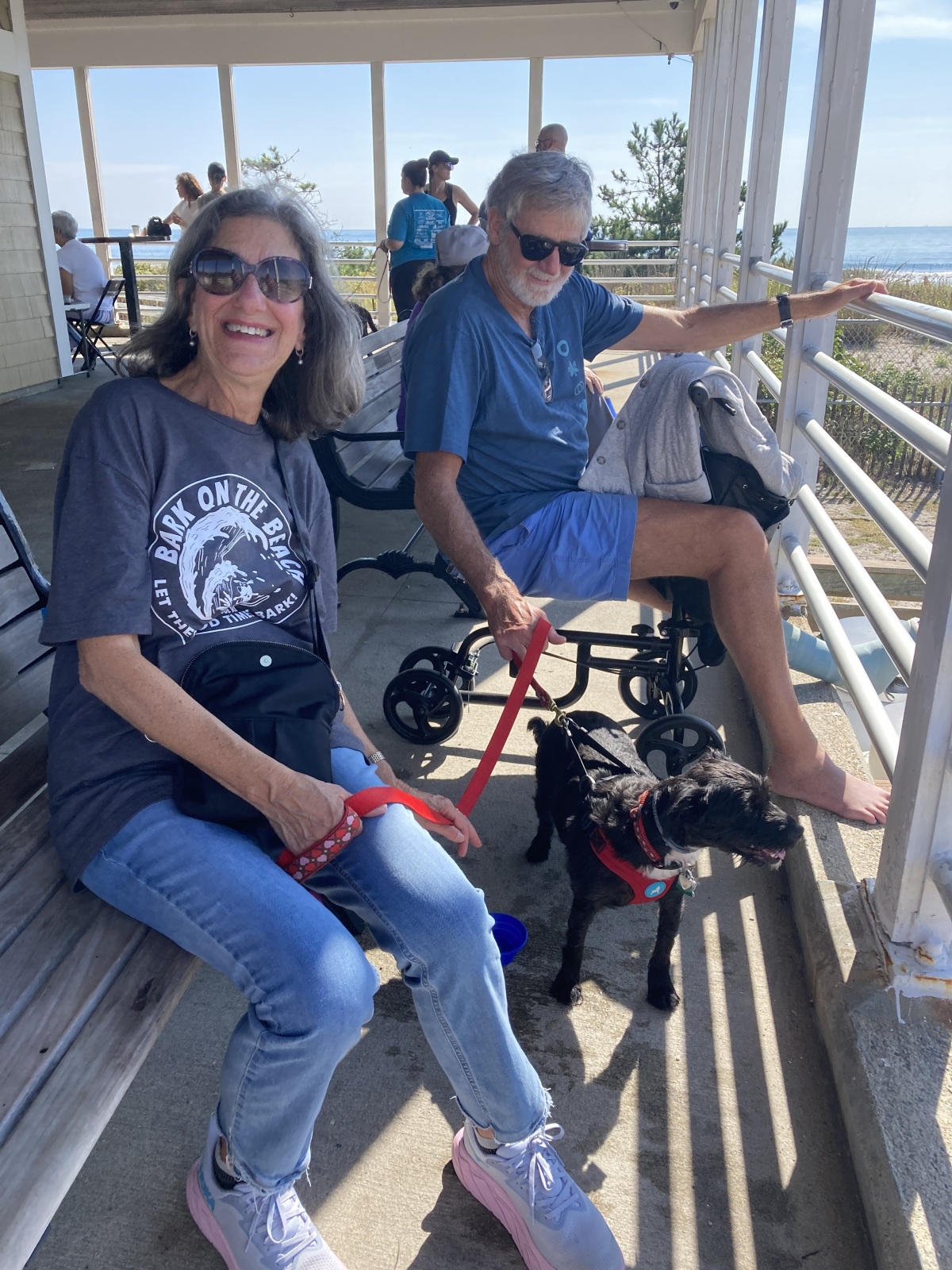 2025 Bark on Beach