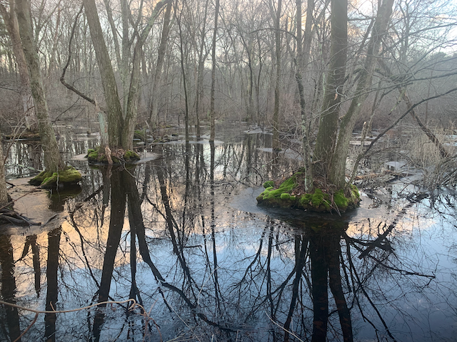 There are natural wonders all around us!