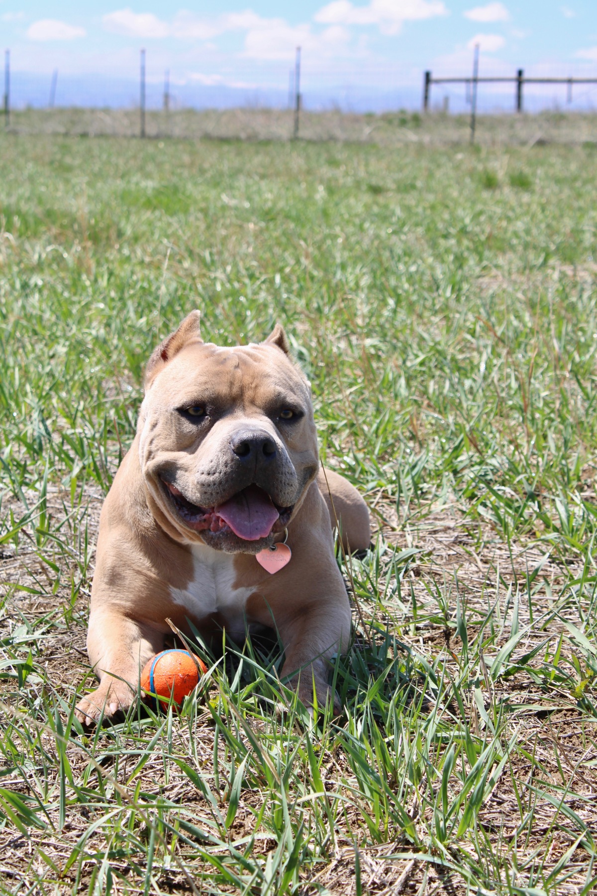 Didn't know I was a champion ball catcher?