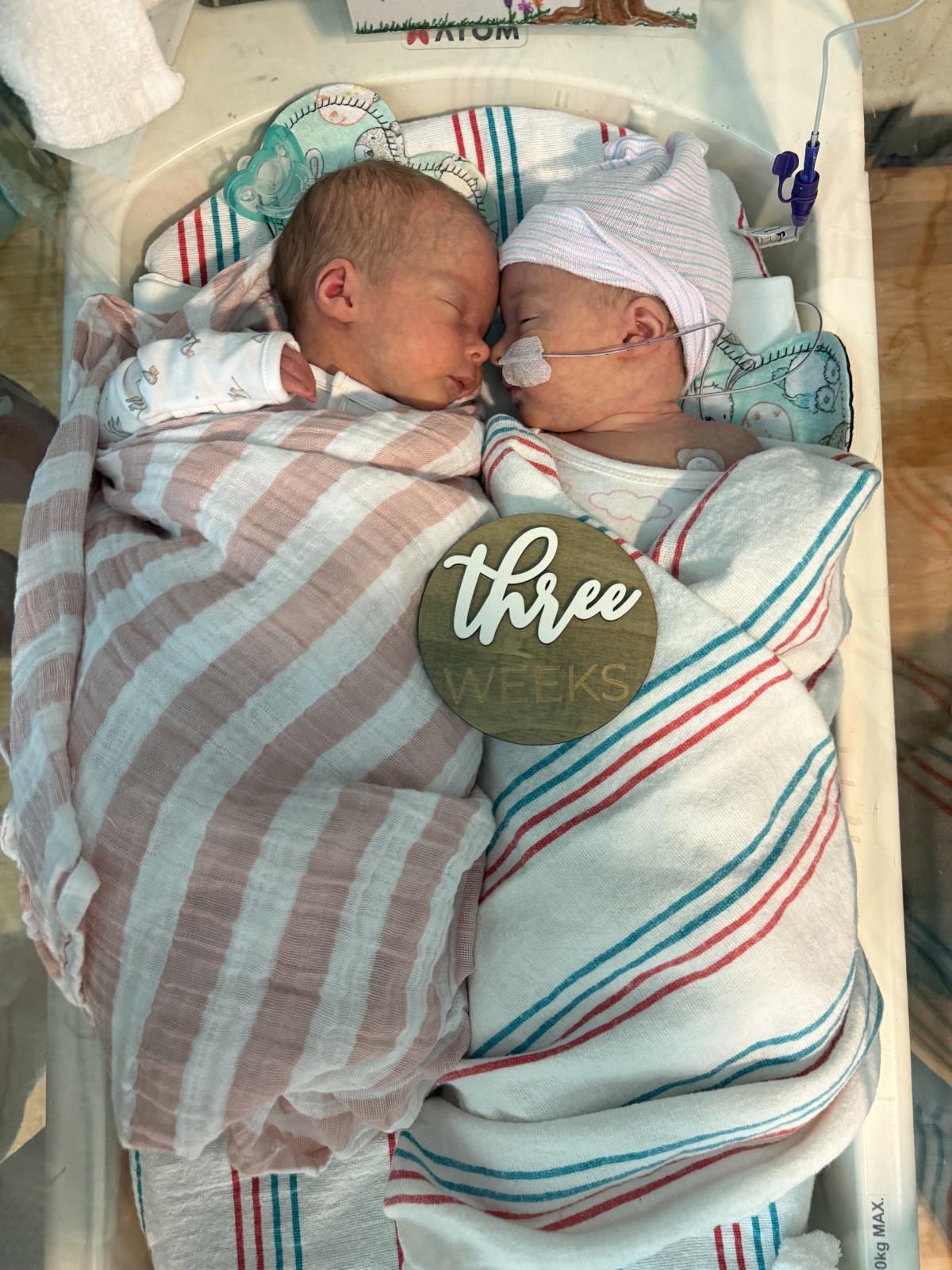 Emmy & Palmer in the NICU - July 2025.