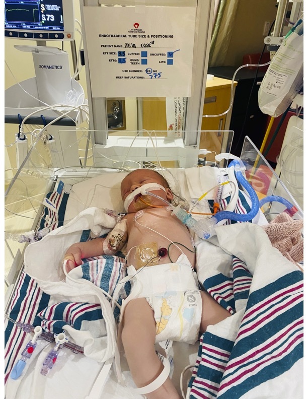 Mila waiting for surgery