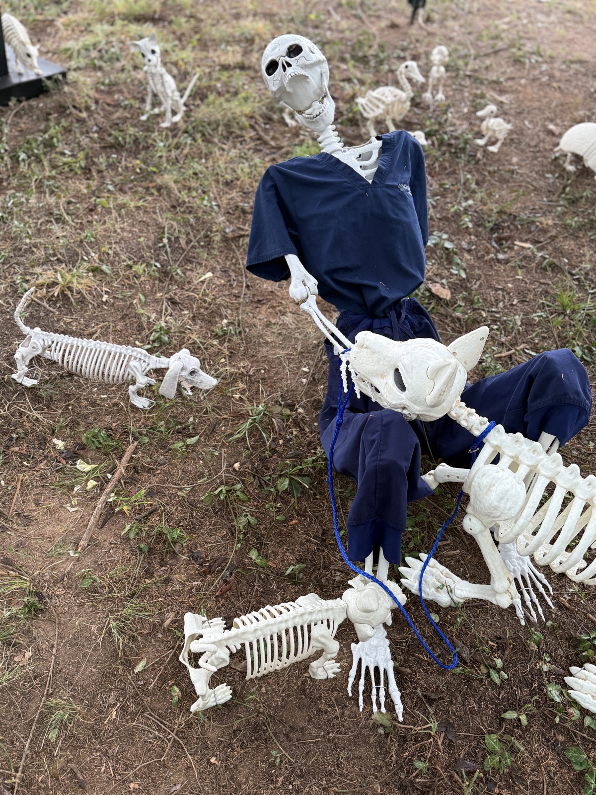 slide 5