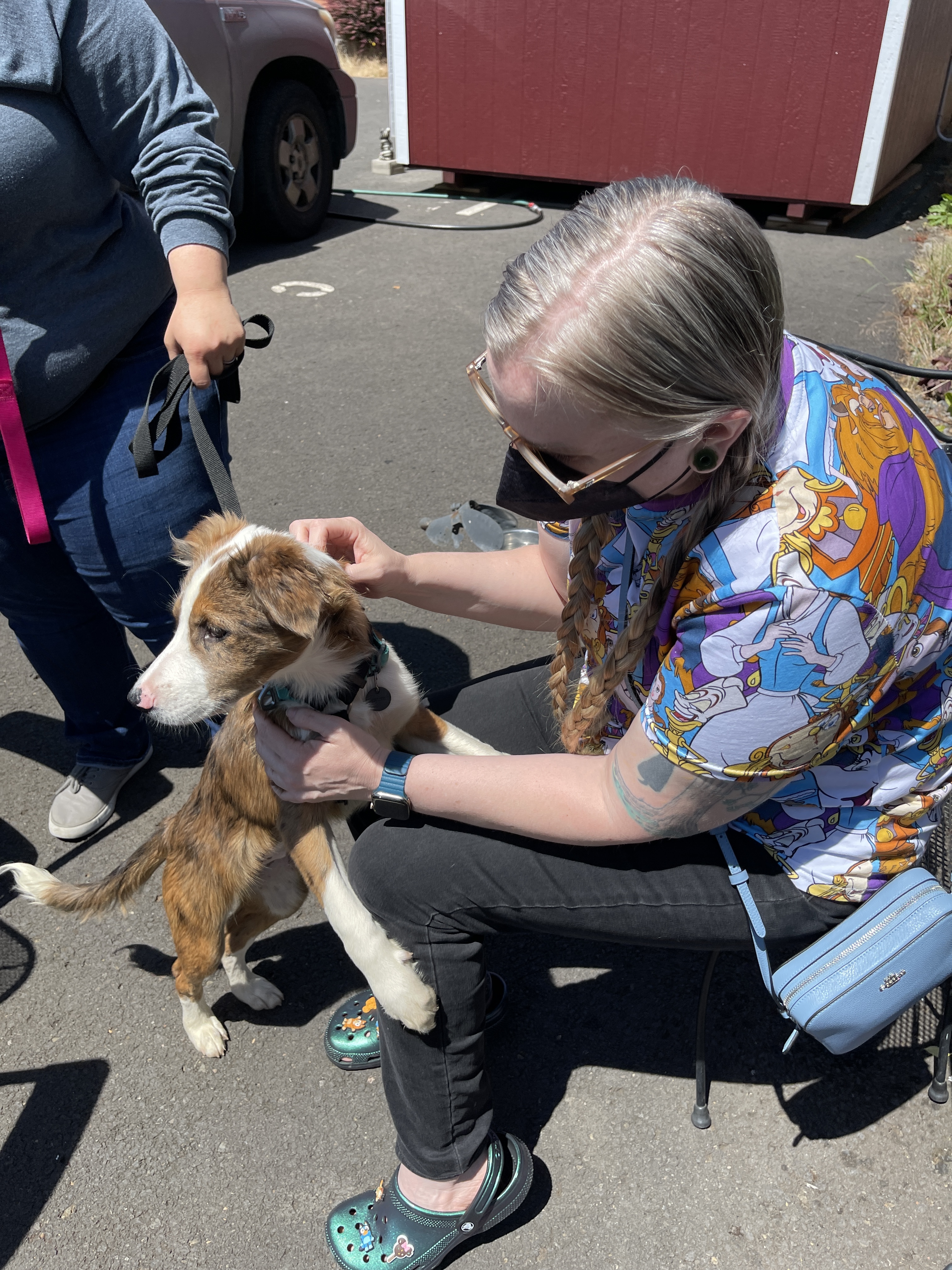 Meeting my puppy Figment