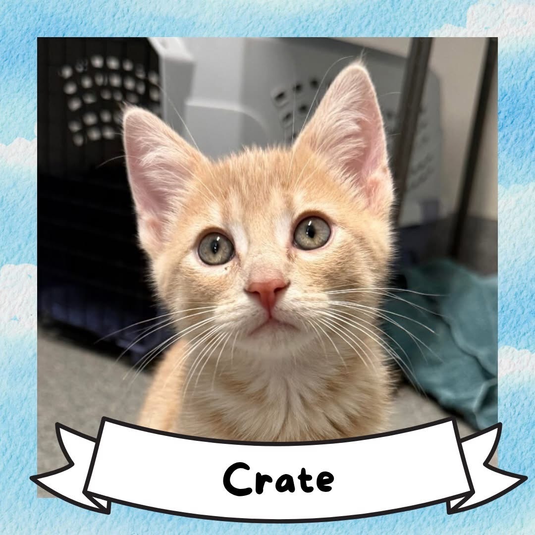 slide 12