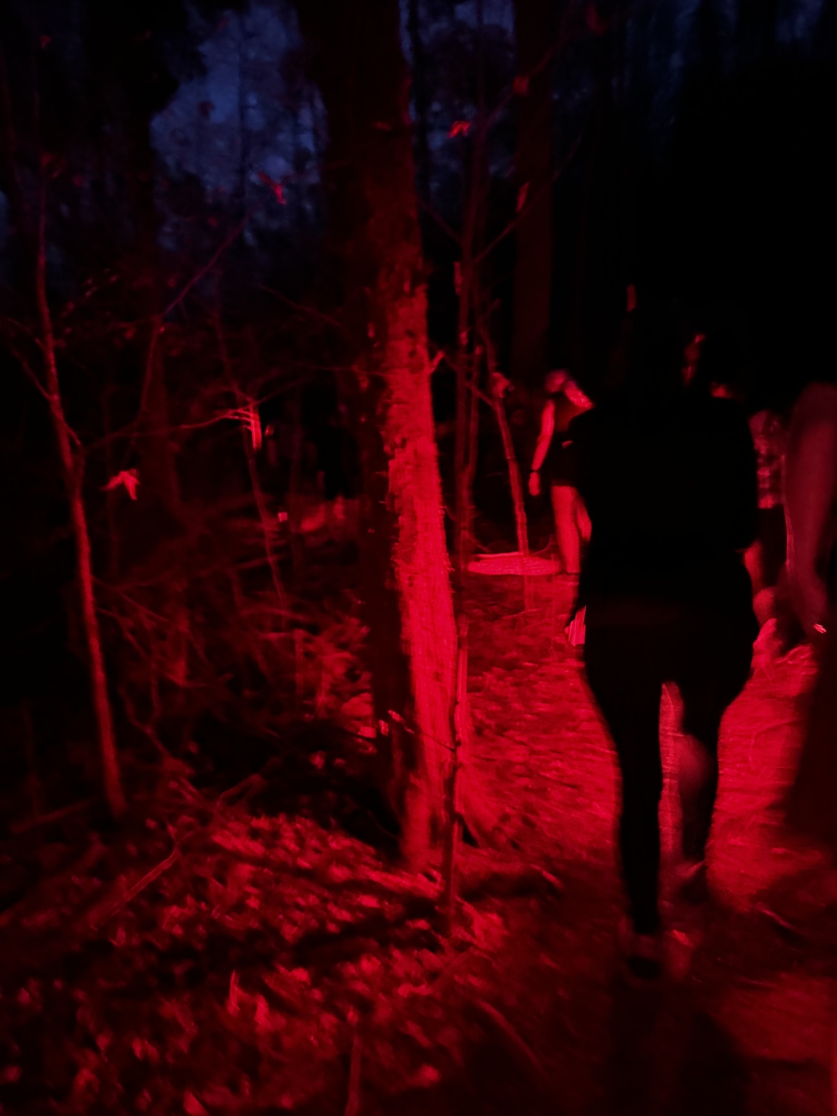 Beaman park Full Moon Hike