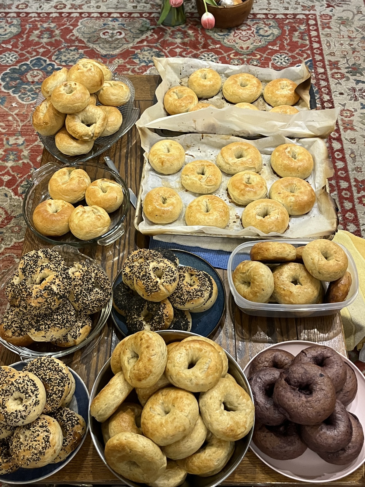 Apartment Cafe #1 (3/23/25)