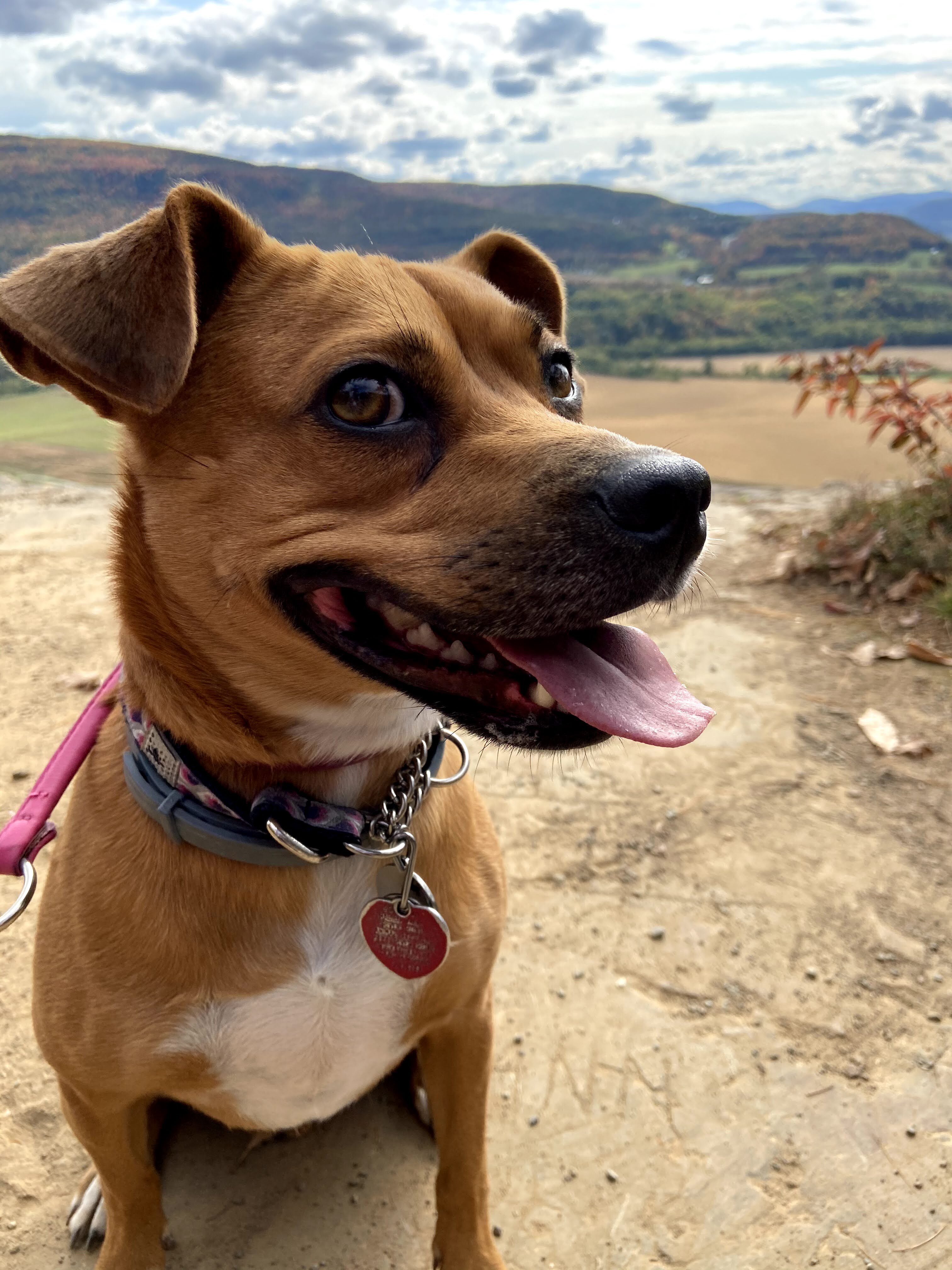 Hike to Vroman's nose