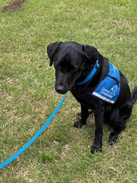 Watts at Graduation to Facility dog