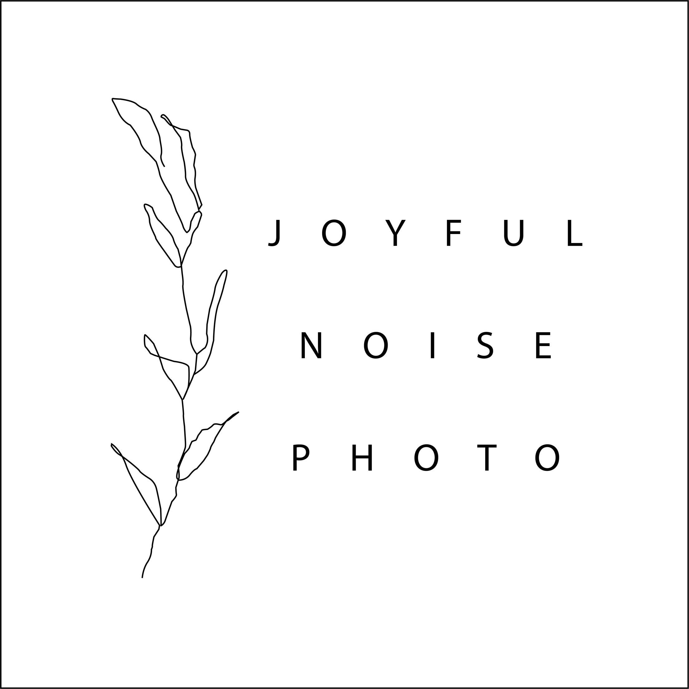 Joyful Noise Photo