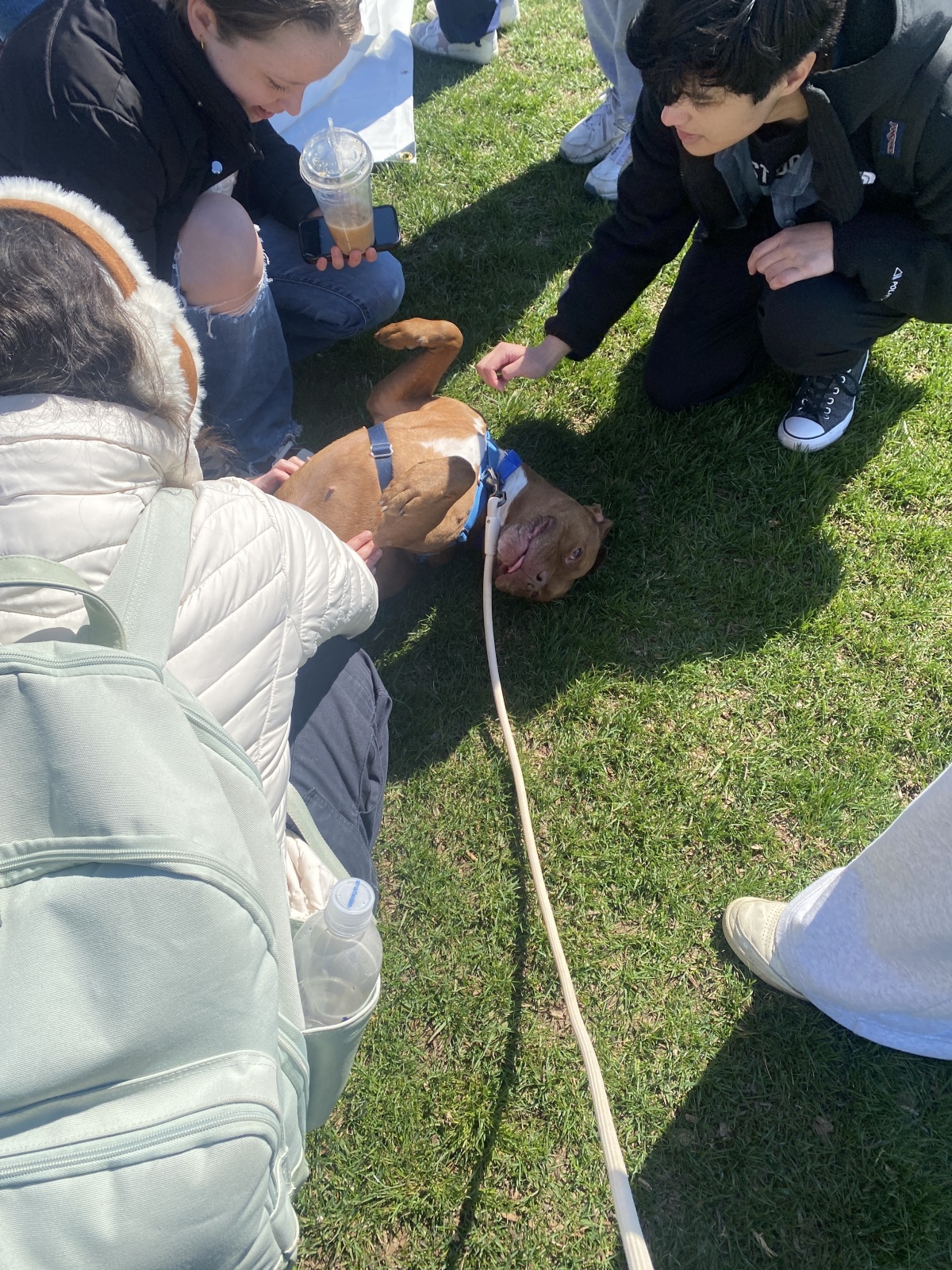 Our Visit to Villanova University