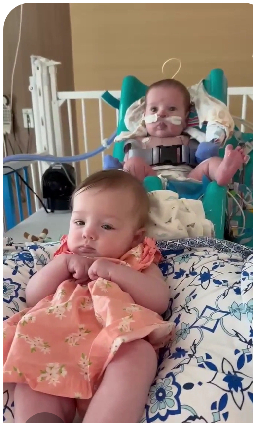 Twin Time
