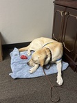 Day at work