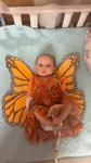 Khaleesi Wren as a Monarch Butterfly