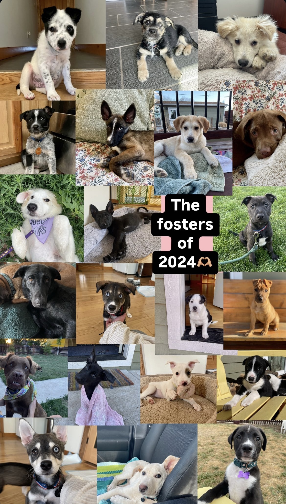 The Fosters of 2024...