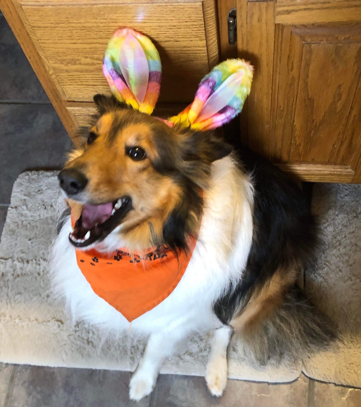 Some Bunny Loves You