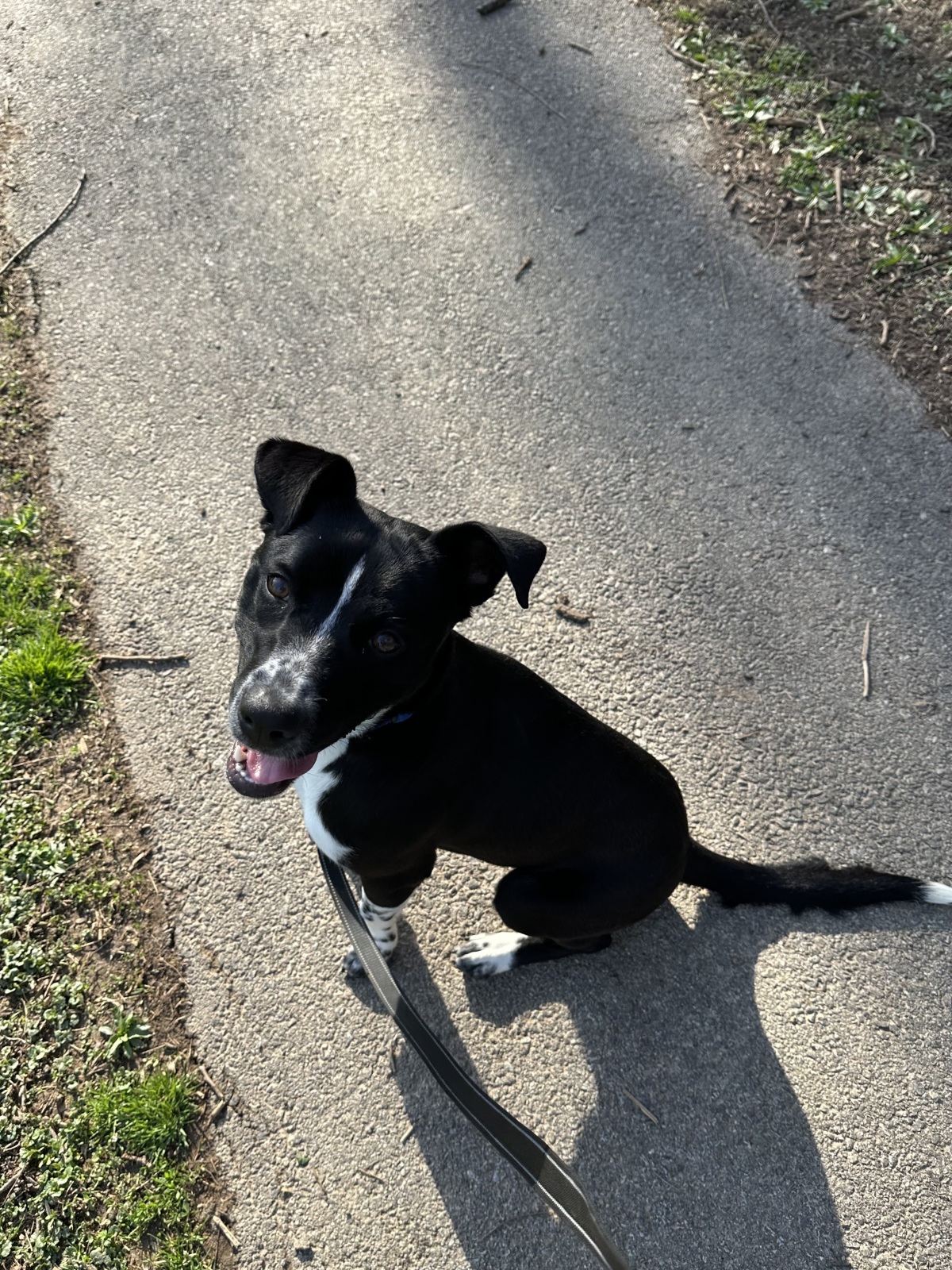 Ms. Wiggles