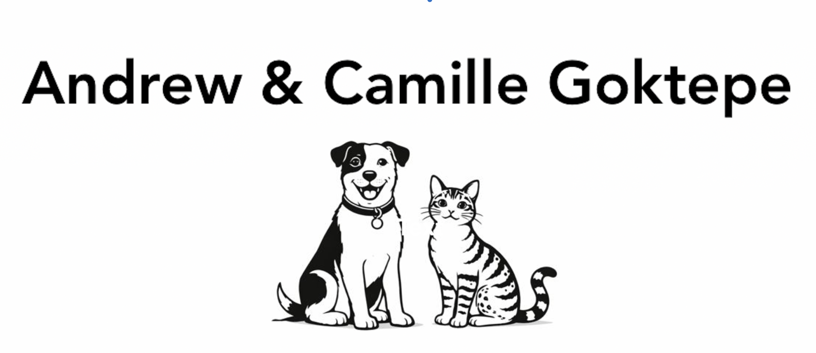 Andrew & Camille Goktepe