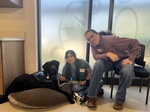 Canine Companions® South Central Region Q3 Team Training class 2025 Pre-match Day