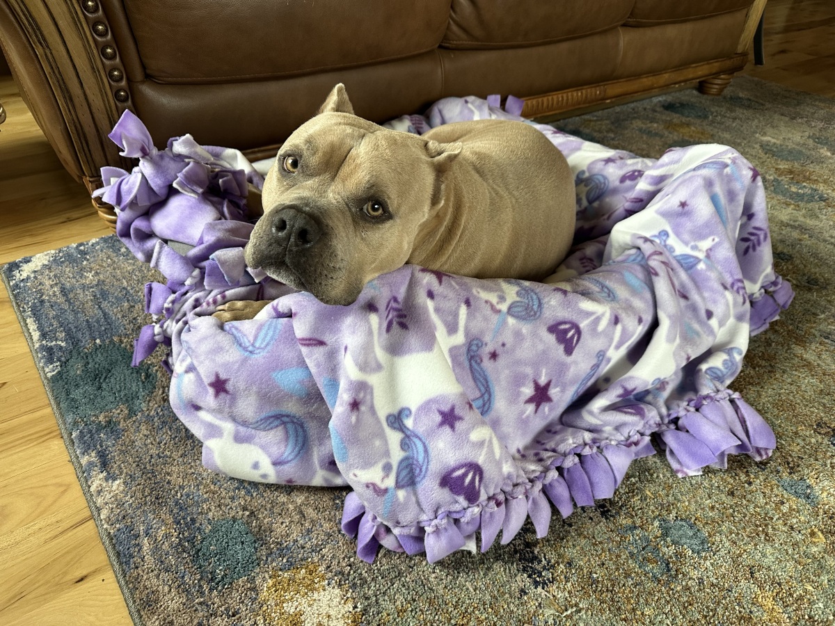 Purple unicorns, really? So undignified...