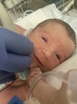 1st ECHO out of the womb