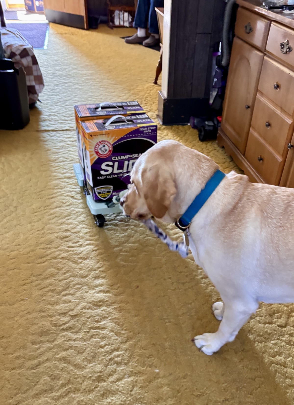 “Thug” kitty litter to our room.