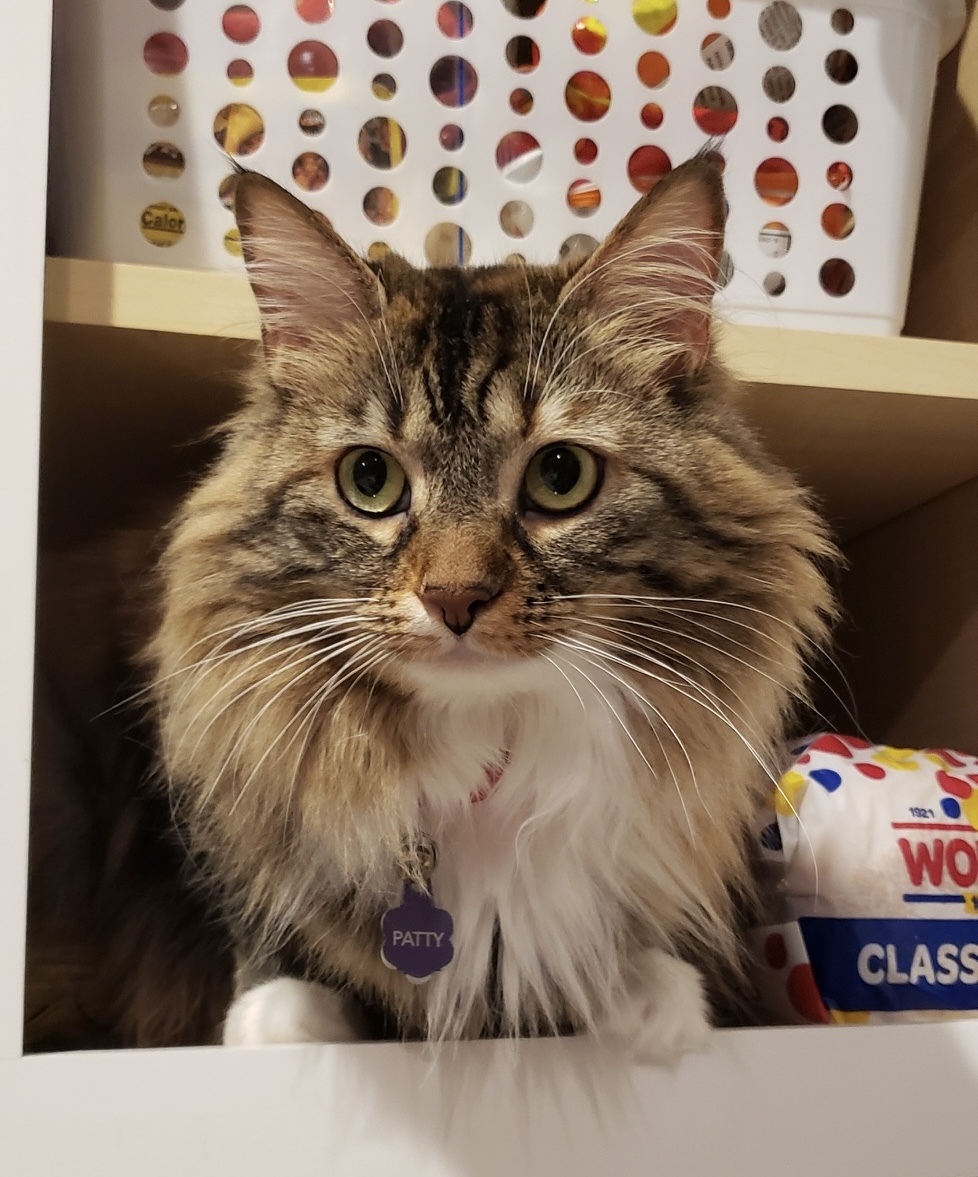 Patty in Cabinet