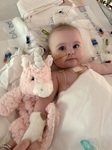 Emmy in the CCU post surgery.