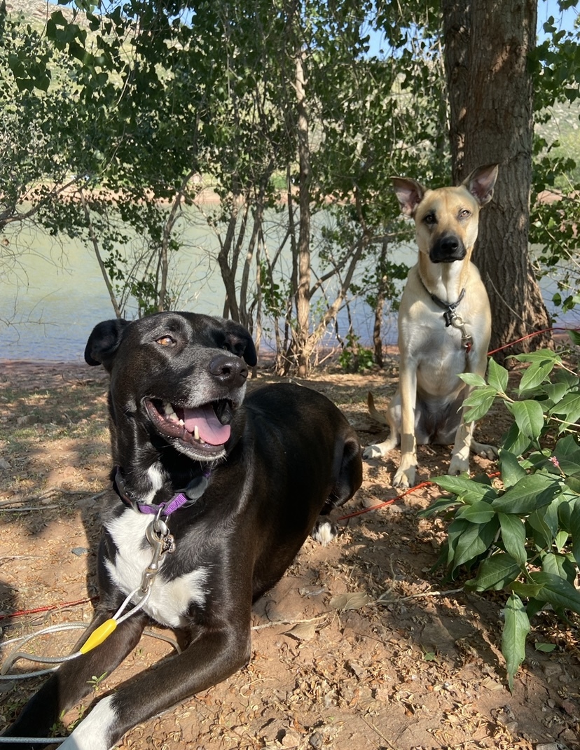 Best Lake Girls- Daisy and Harlee!