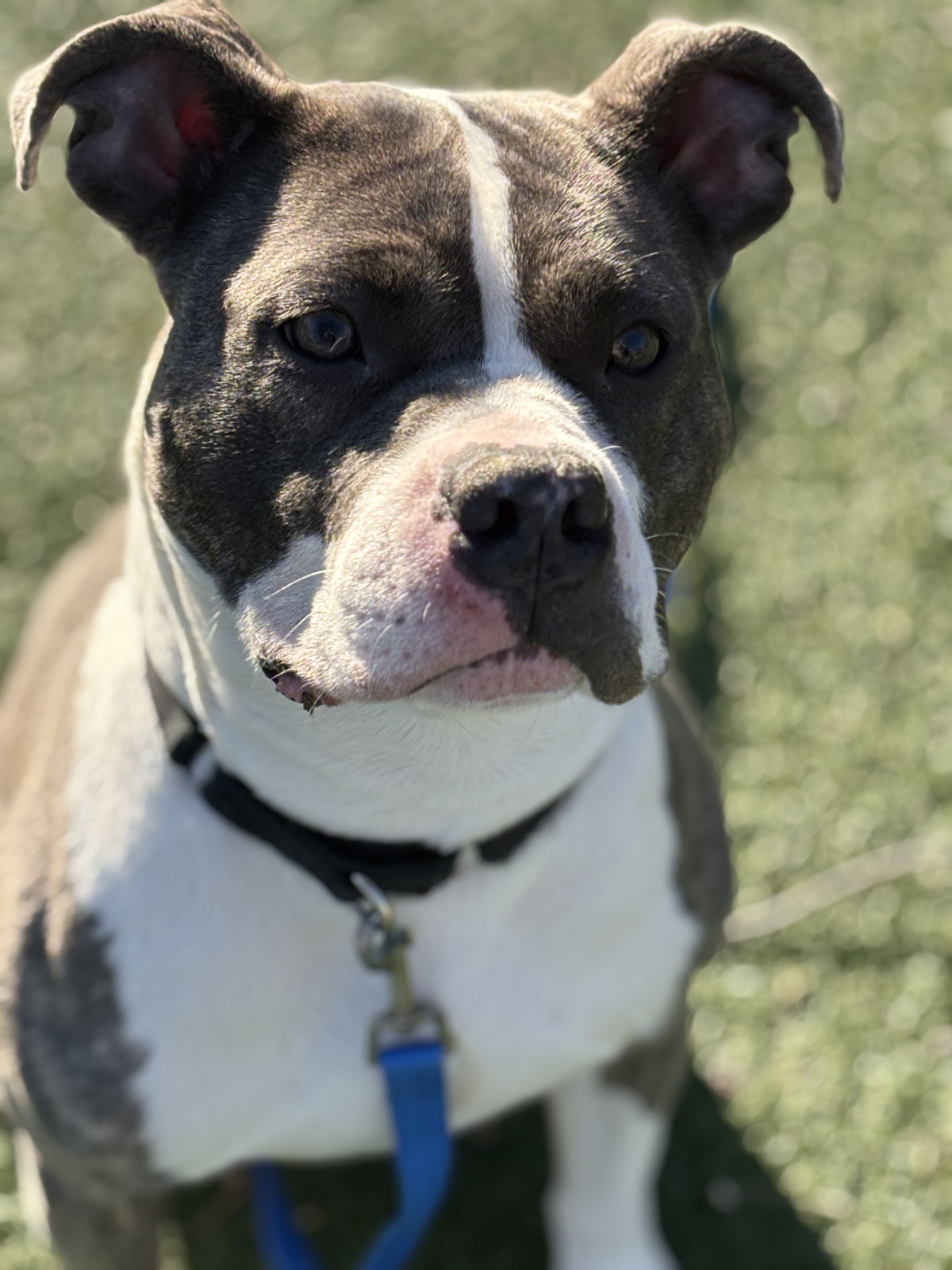 Sammi ❤️
