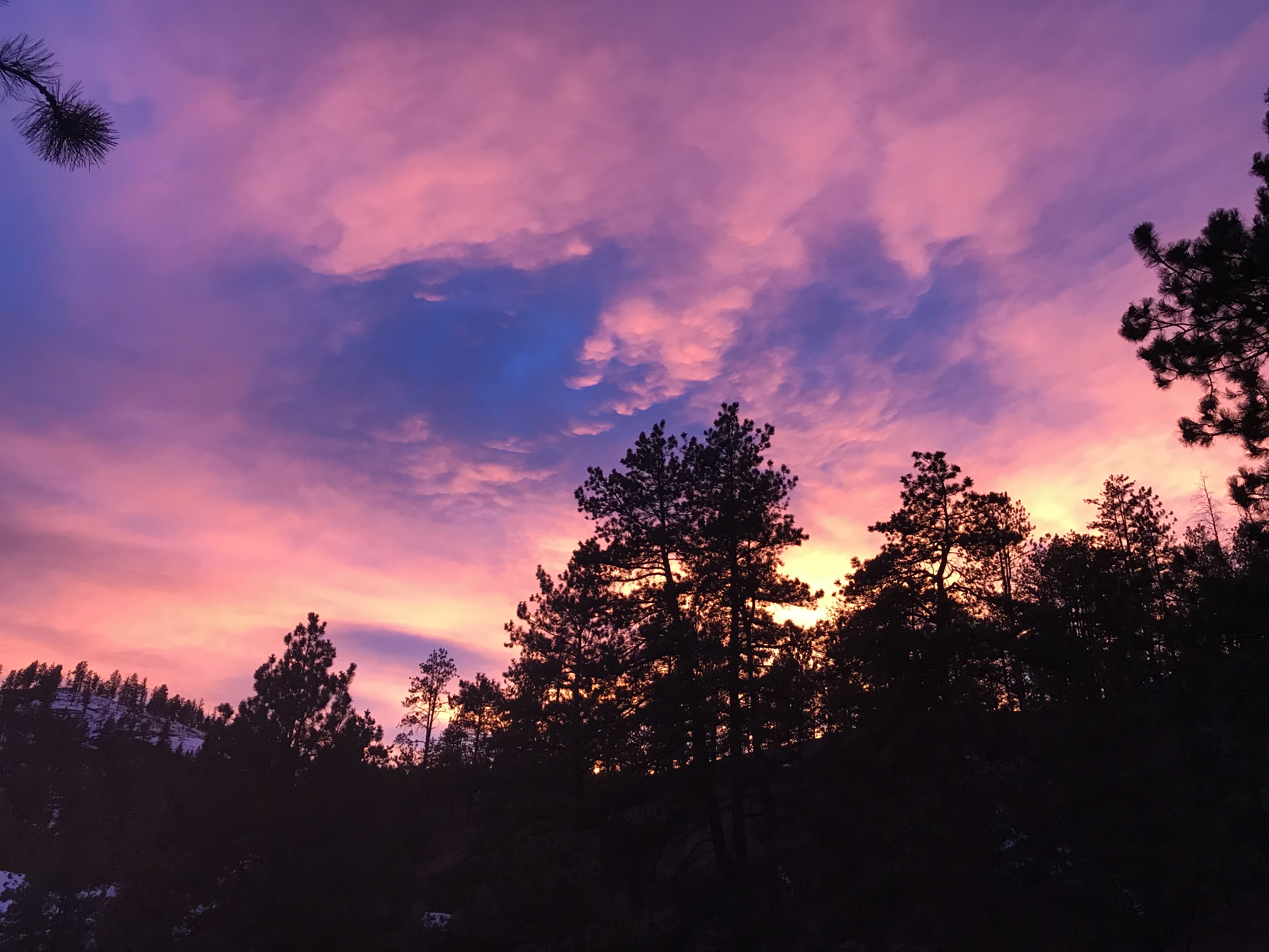 Izzy Skies!  They are our earthly signs that she's up there watching over us and we look for them daily.