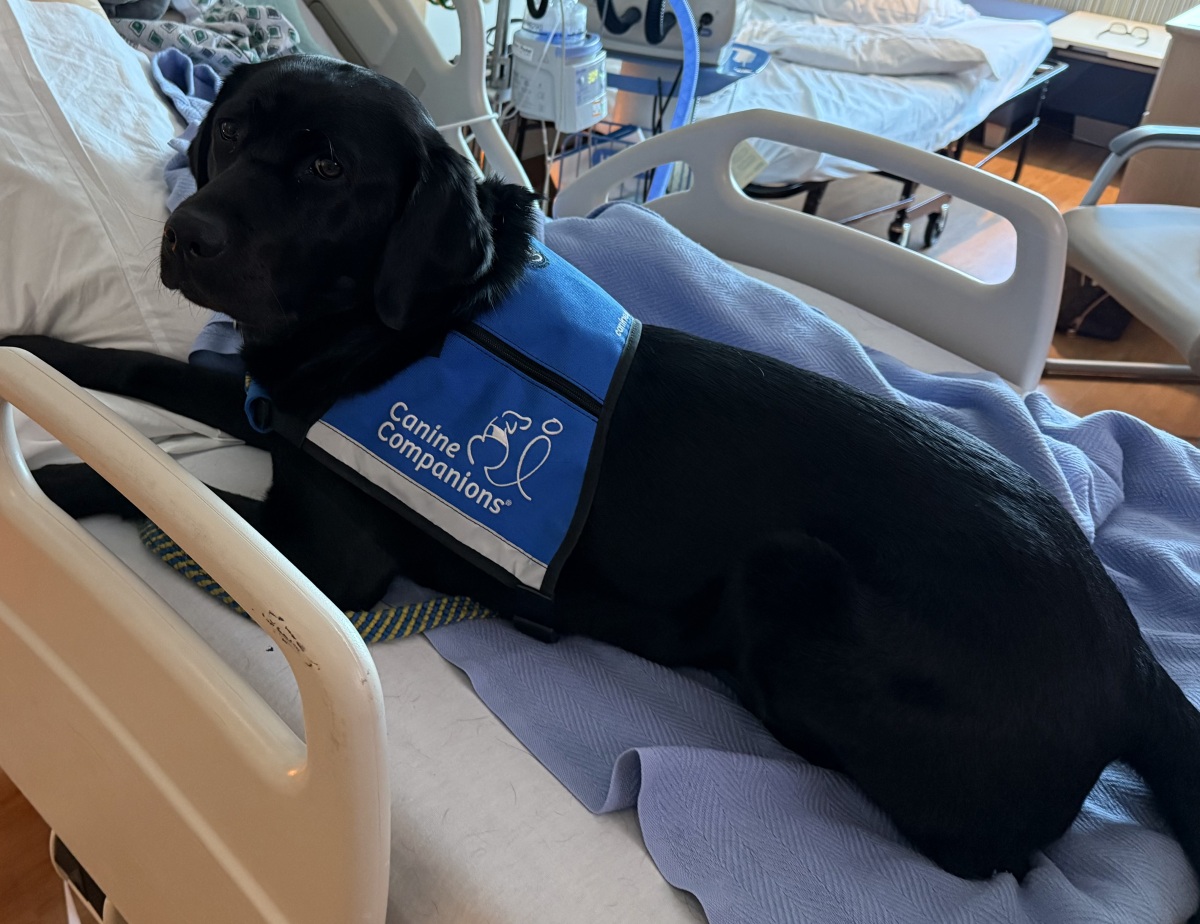 Julia calming her girl