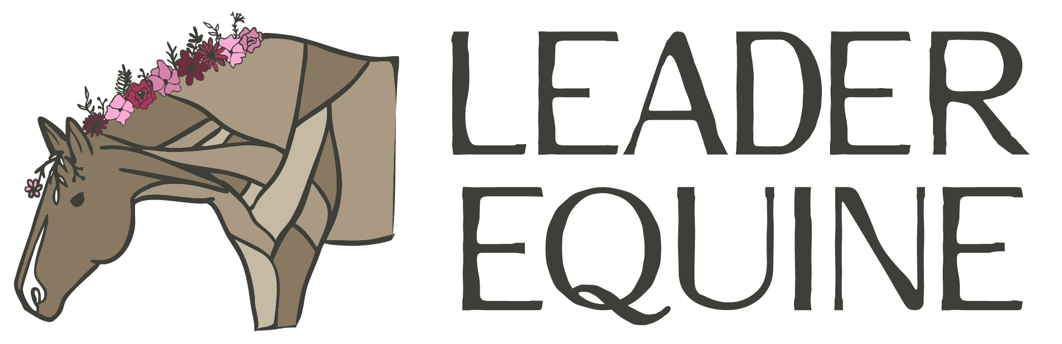 Leader Equine