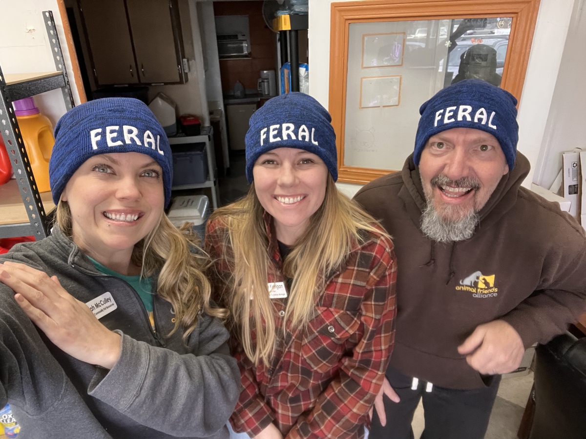 Feral Coworkers!