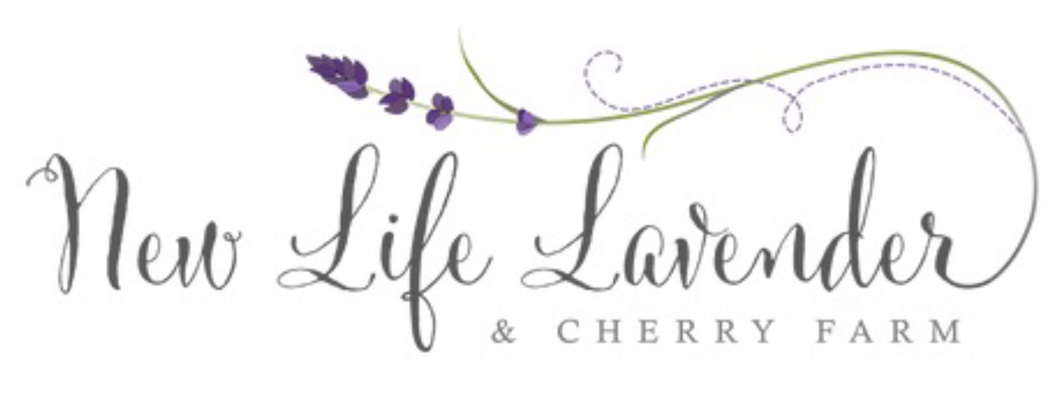 New Life Lavender and Cherry Farms