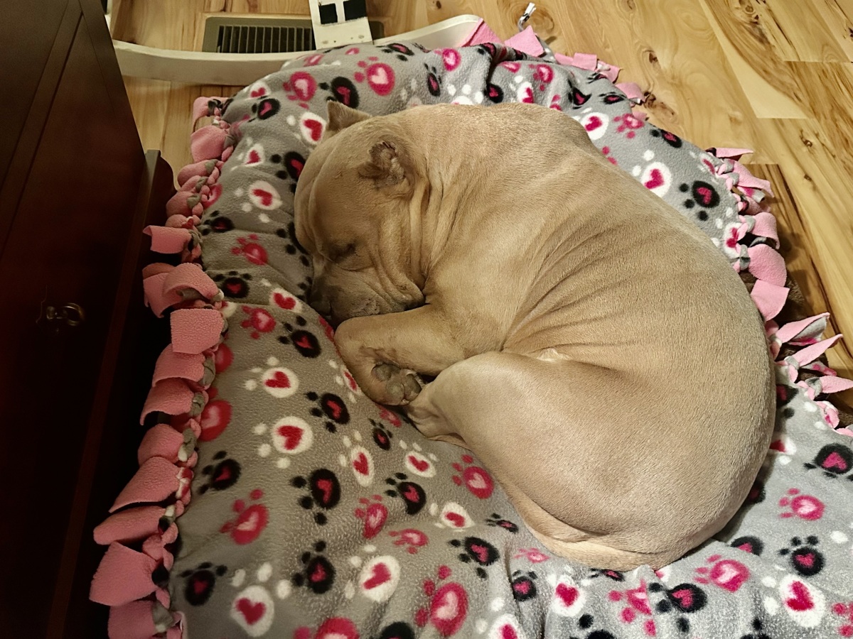 My cute blankie