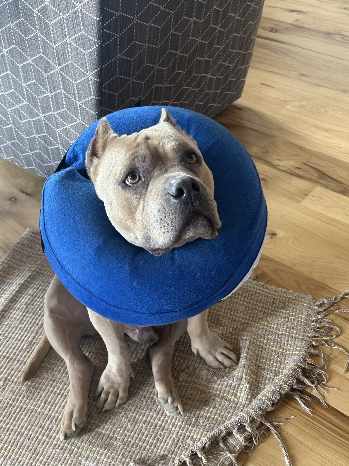 My donut after cancer surgery