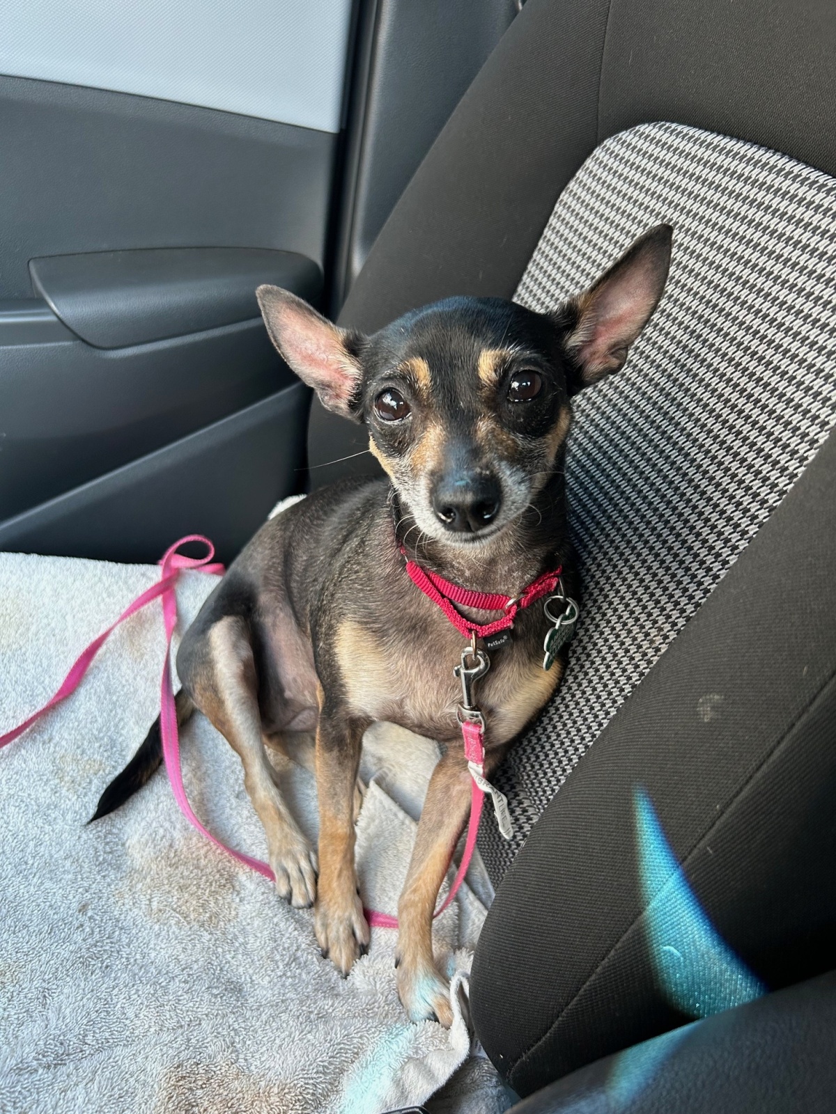 Visiting the shelter