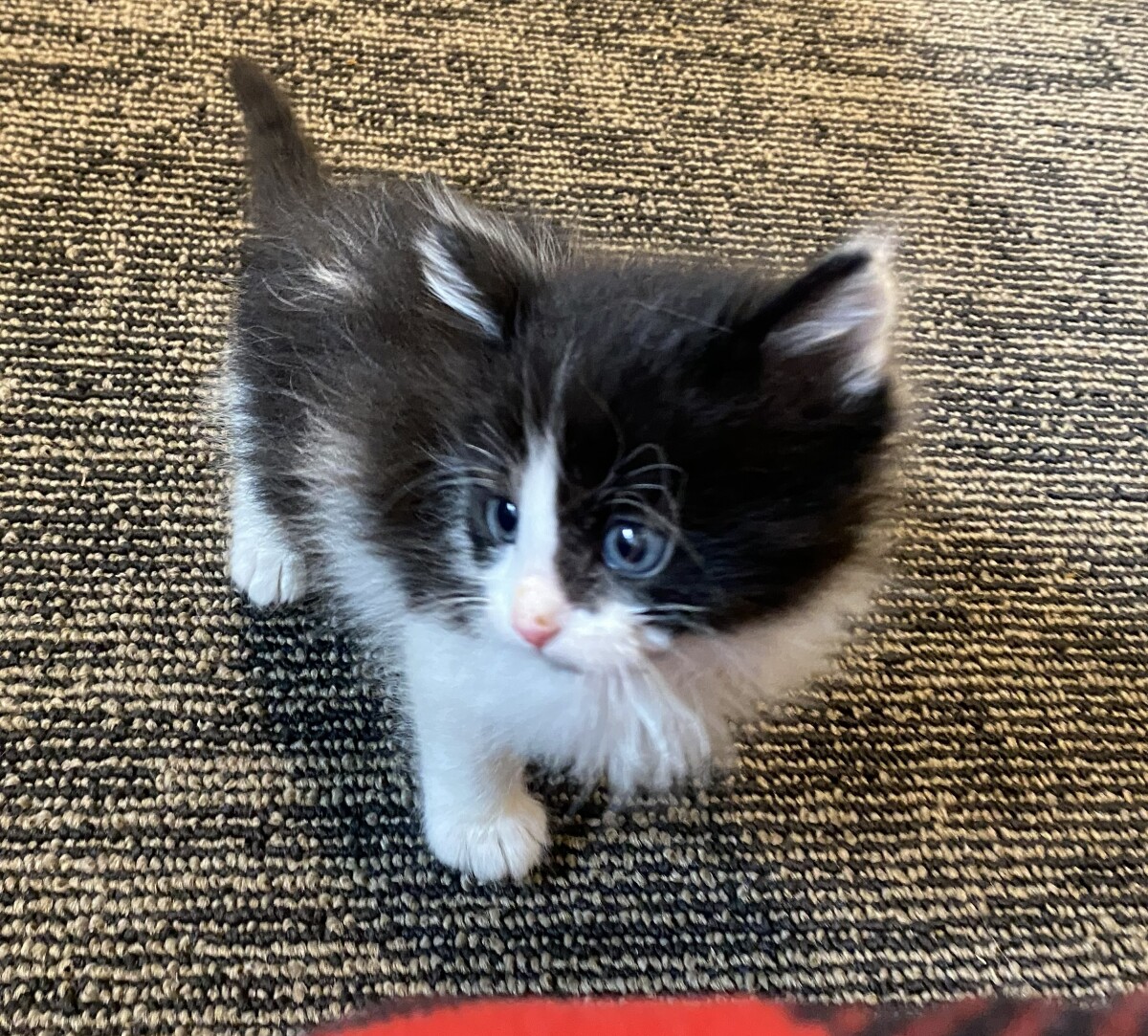 So tiny!